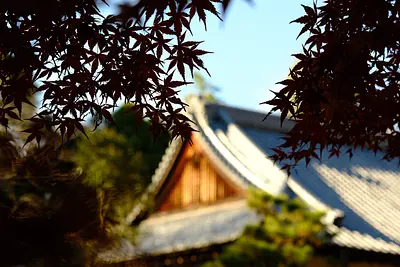 円光寺の紅葉（4）