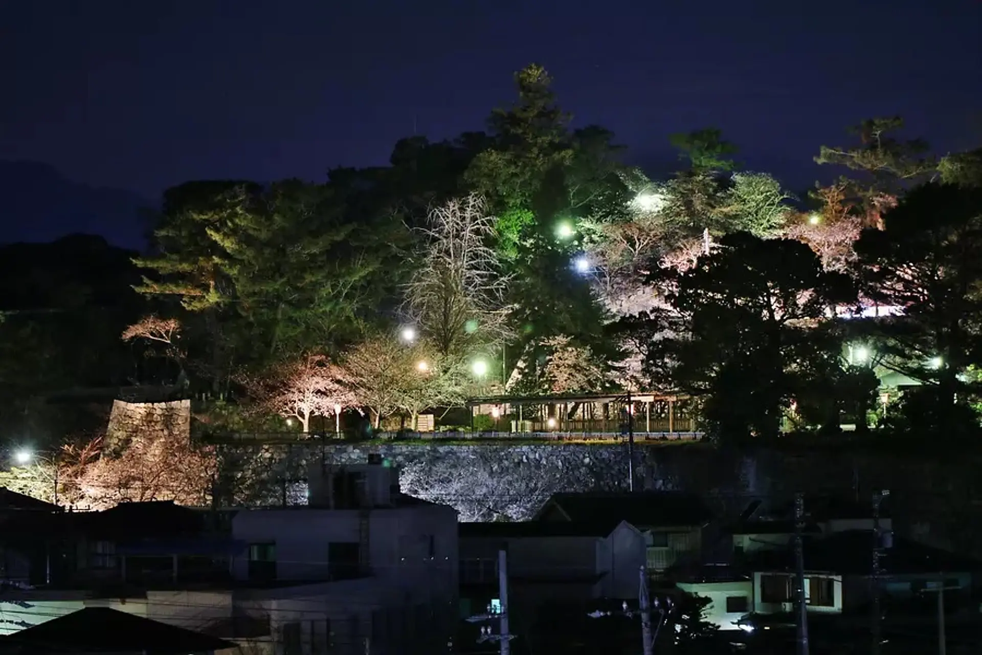 松阪公園（松坂城跡）の桜