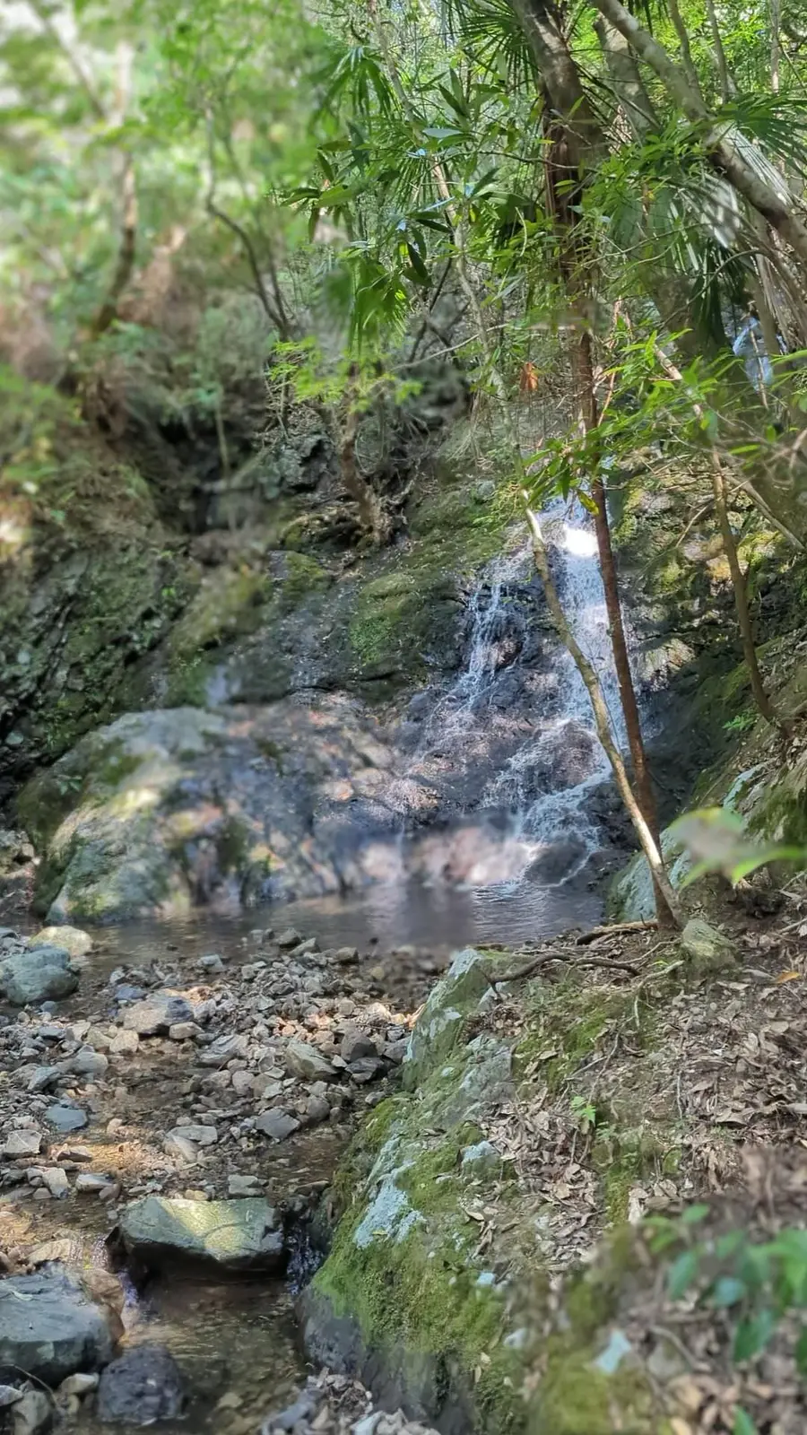 新桑竈不動の滝