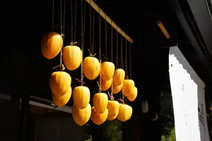 いなべの干し柿づくり体験