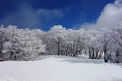 三重県の霧氷・樹氷・氷瀑の観賞スポット