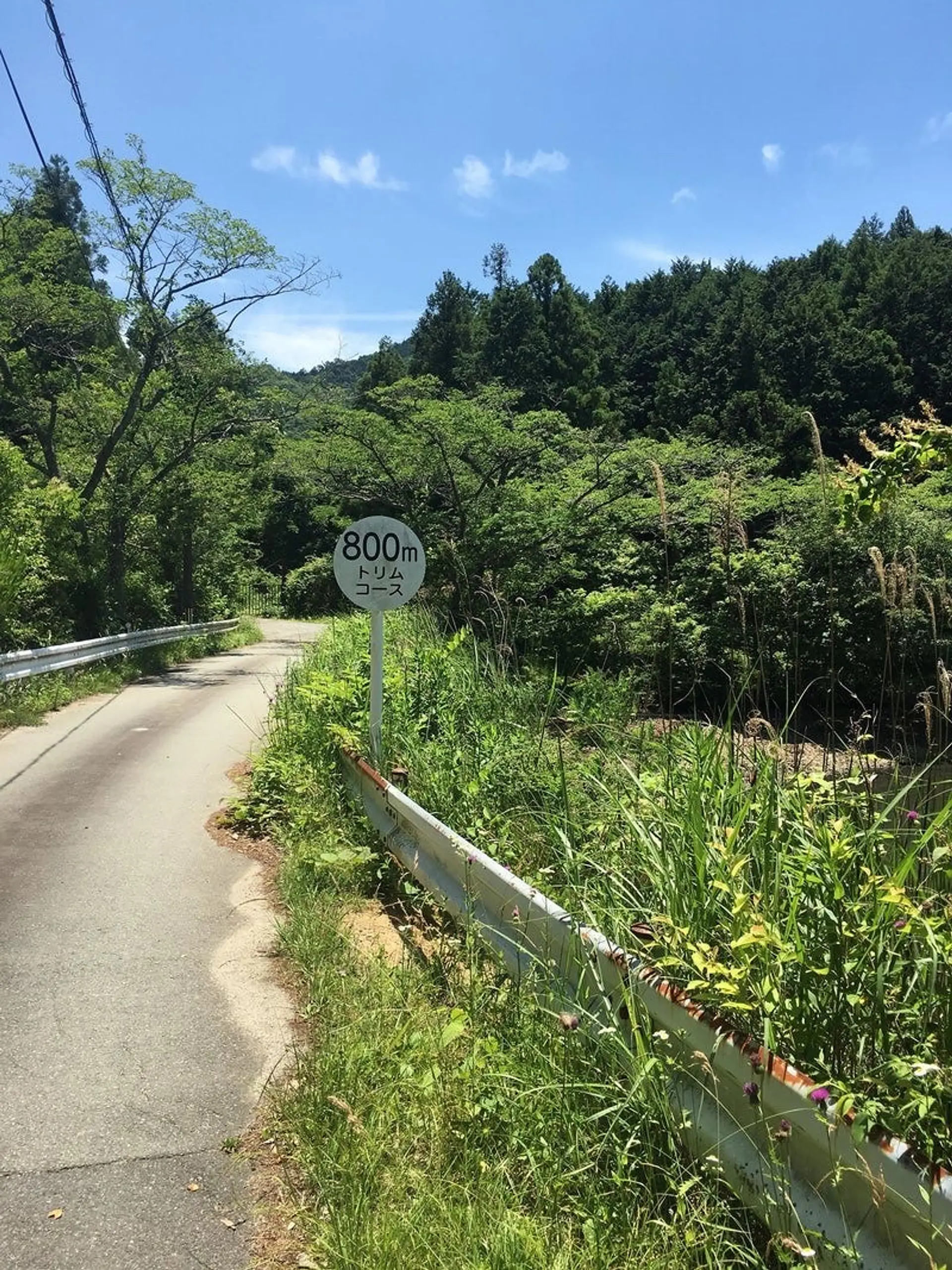 トリムコースを歩いたりジョギングしたり！