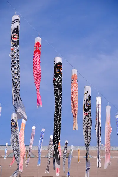 三重県総合文化センターのこいのぼり（2）