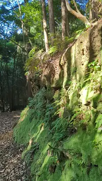 Shinkuwagamafudo Falls