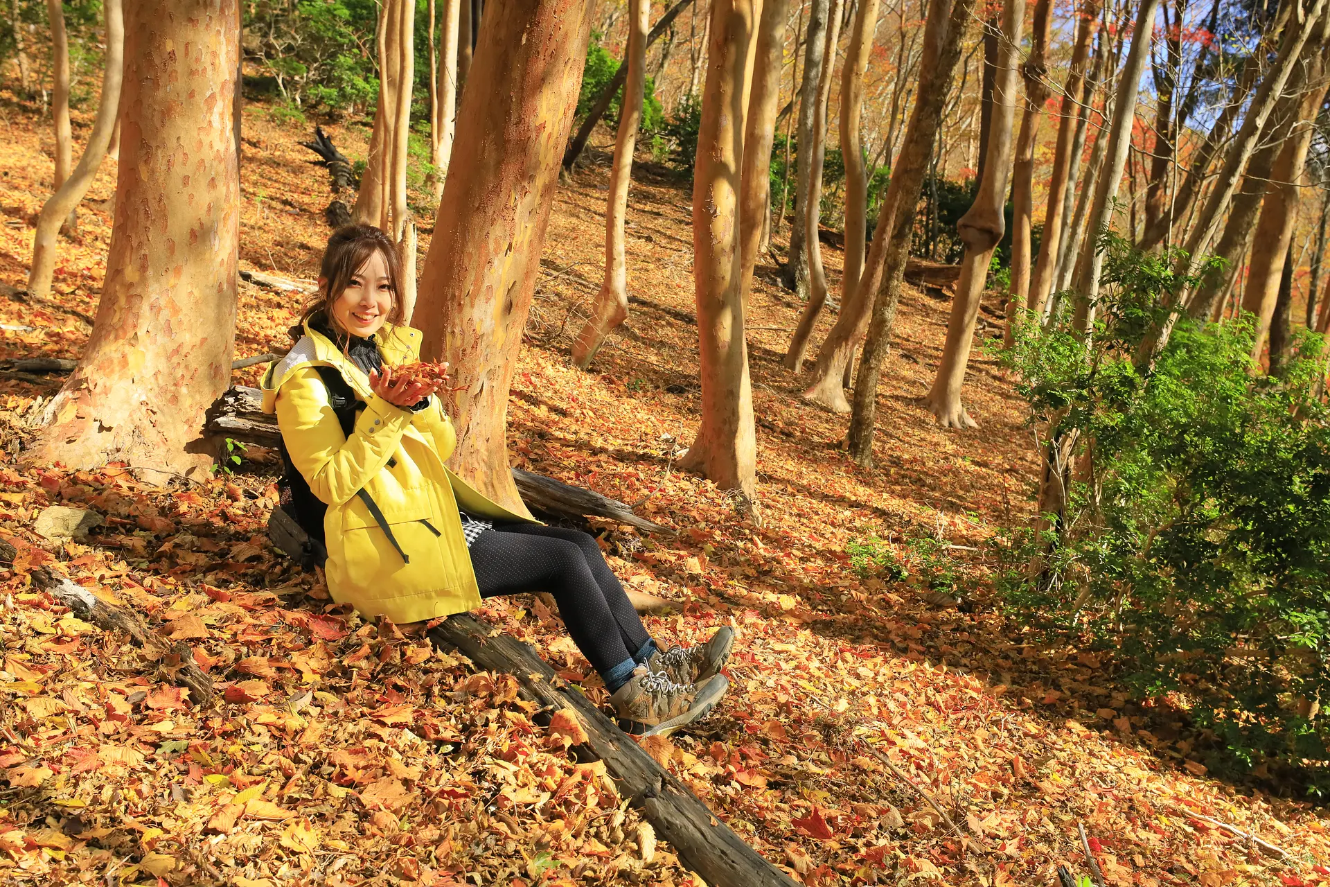 いかがでしたか