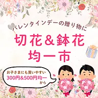 【バレンタインデーギフト】切花&鉢花均一市