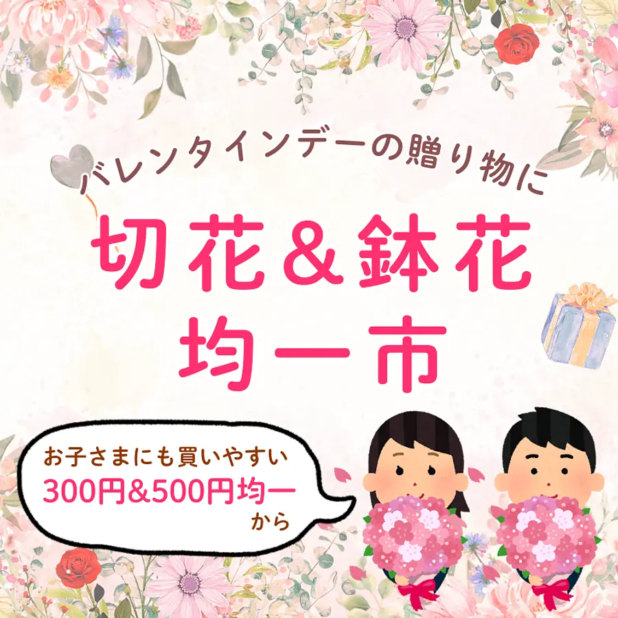【バレンタインデーギフト】切花&鉢花均一市