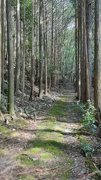 Cataratas Shinkuwagamafudo