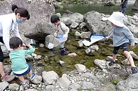 [Escuela de Naturaleza Osugitani] ¡Niños Yama☆kawa! en Osugidani “Proyecto especial de la Semana Dorada”