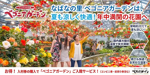 々に包まれる、息をのむような極上の癒やし空間
