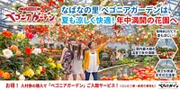 々に包まれる、息をのむような極上の癒やし空間