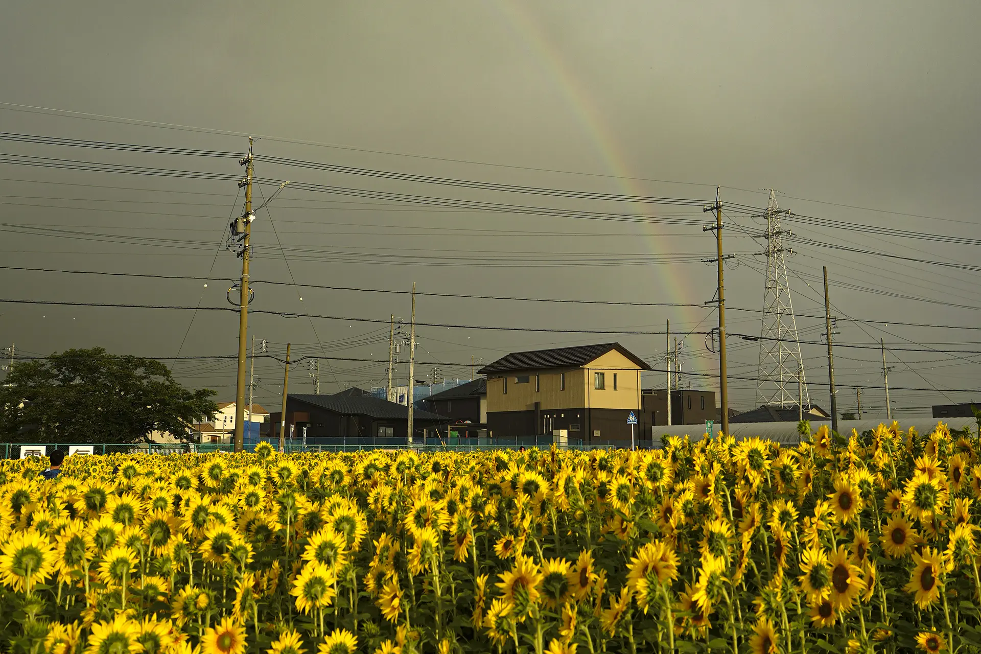 虹とか、雲とか、鈴鹿山脈とか。いろいろな背景を探してみて