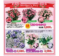 FFCパビリオン 春の園芸フェア