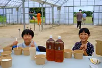 稲刈りの後は穫れたて新米コシヒカリのふるまい