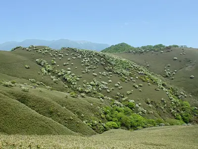 一群白色的绵羊出现在山上!春天的新绿溢出，铃鹿Seven Mountain人气的龙岳登山与推荐路线一起为您送上!