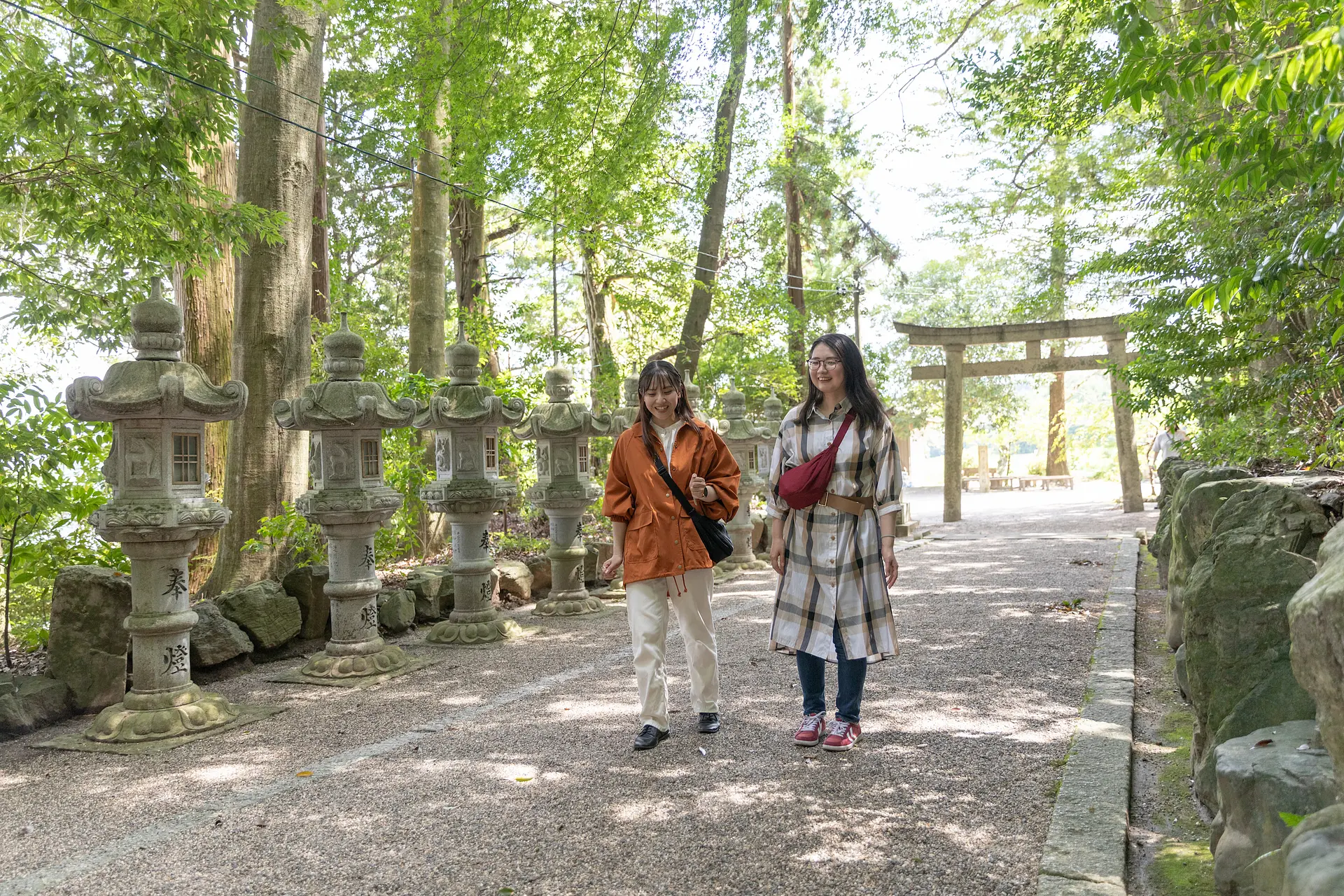 境内までの木漏れ日の道
