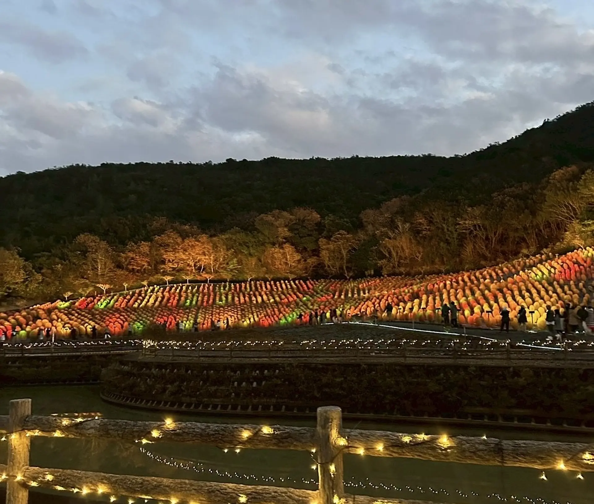 志摩市観光農園ライトアップ