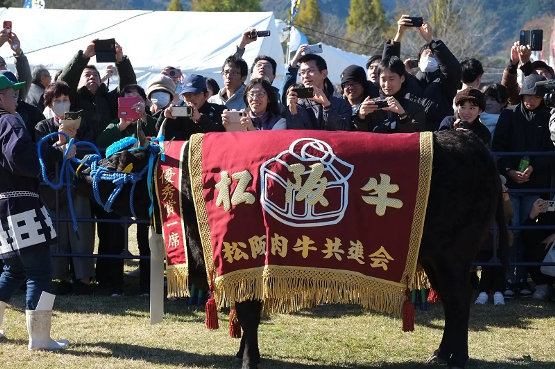 松阪牛まつり2025（第74回松阪肉牛共進会）