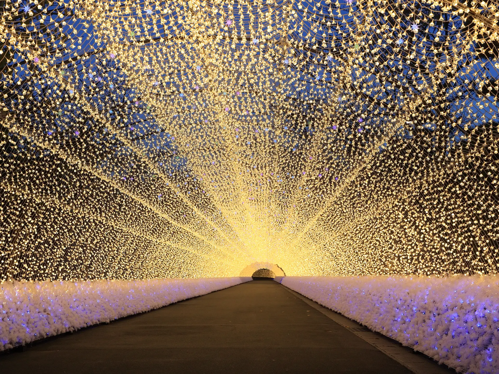 なばなの里イルミネーション2025