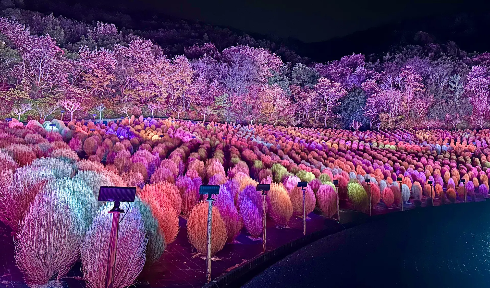 志摩市観光農園ライトアップ