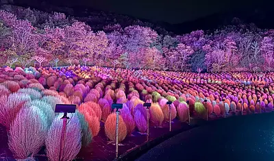 志摩市観光農園ライトアップ