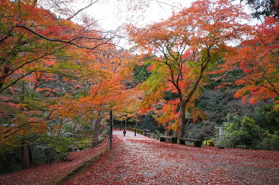 Vallée de Kawachi