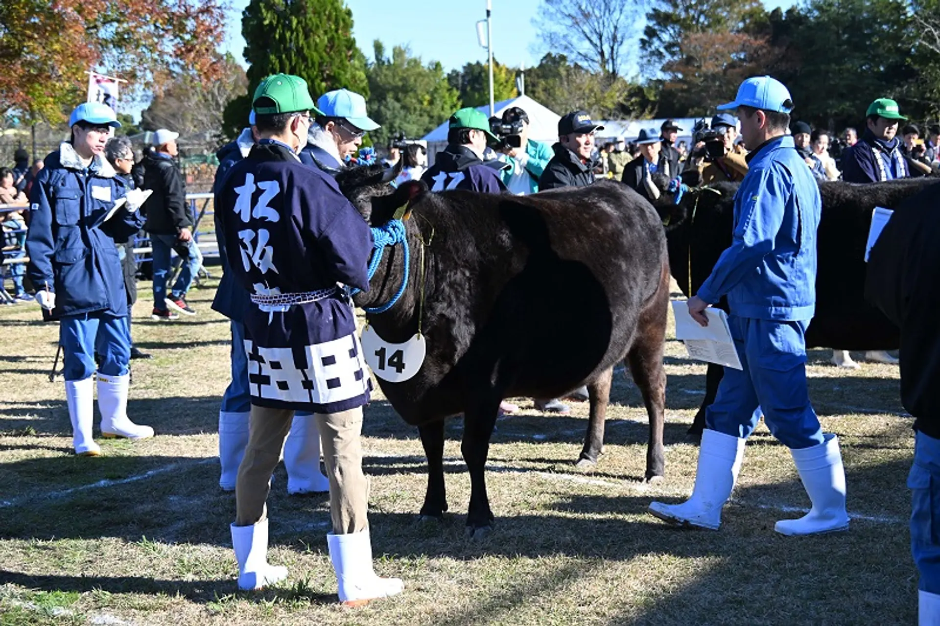 松阪牛まつり🐂（第74回松阪肉牛共進会）