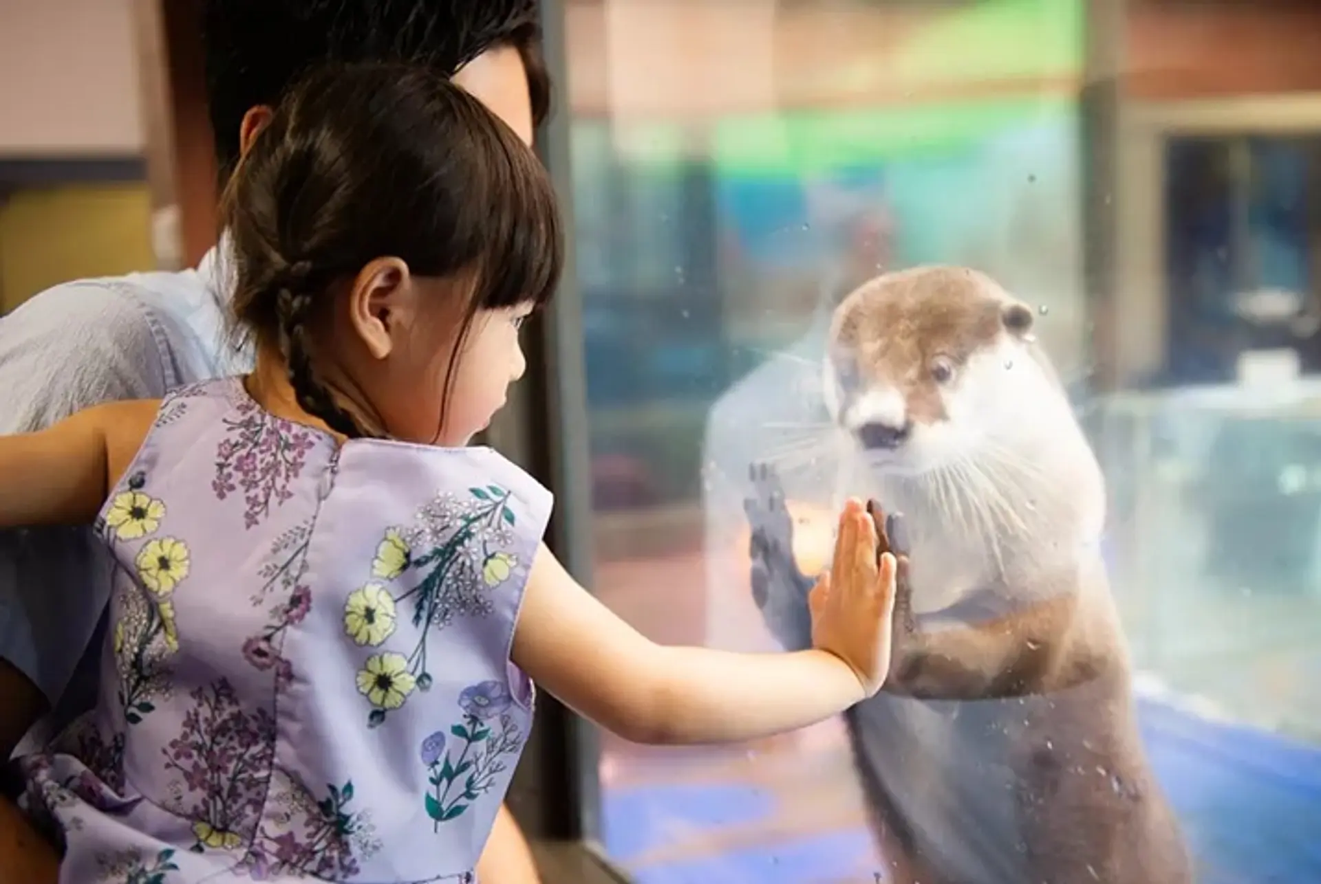 伊勢シーパラダイス