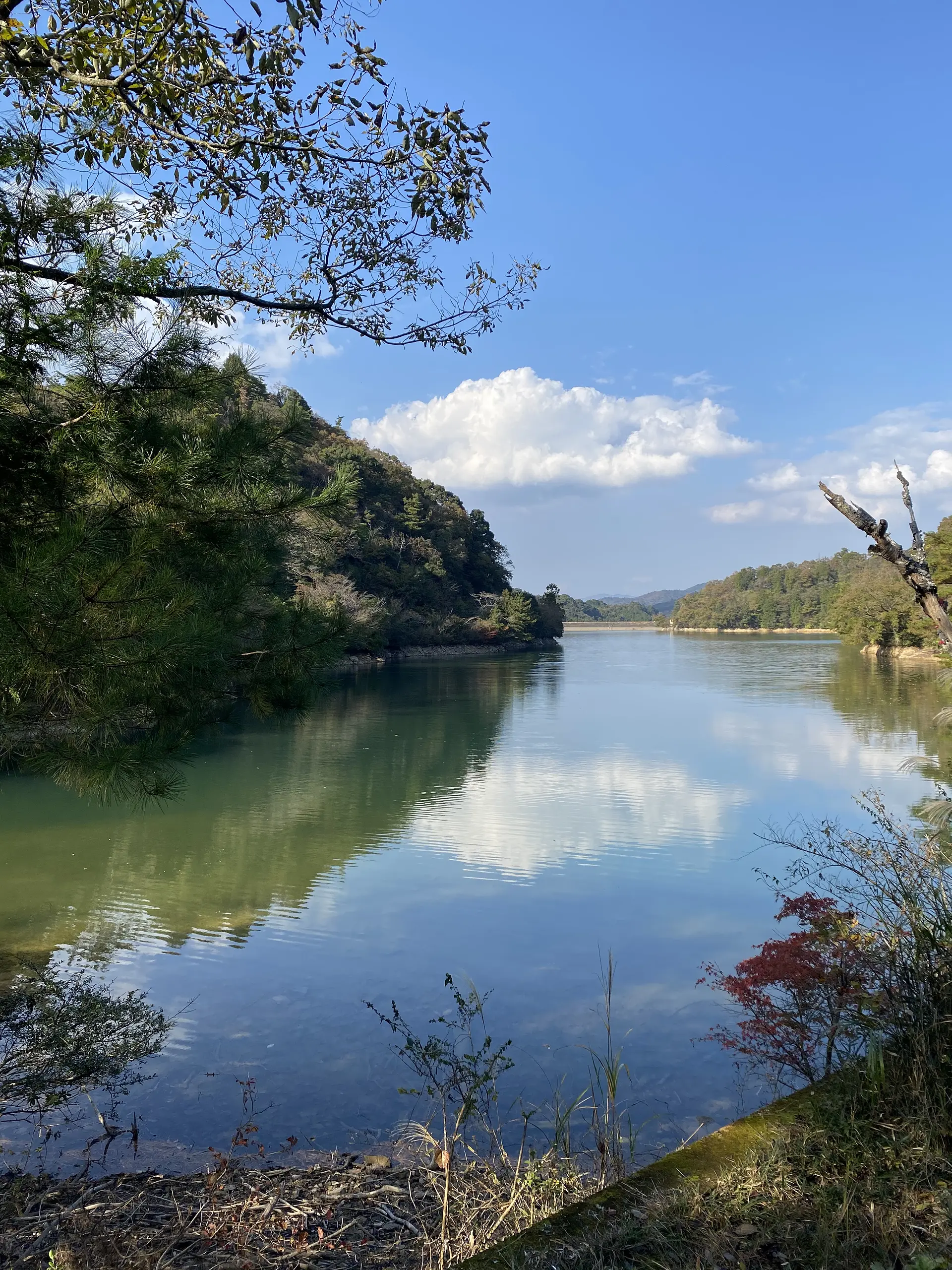 風のない日にはリフレクションも！