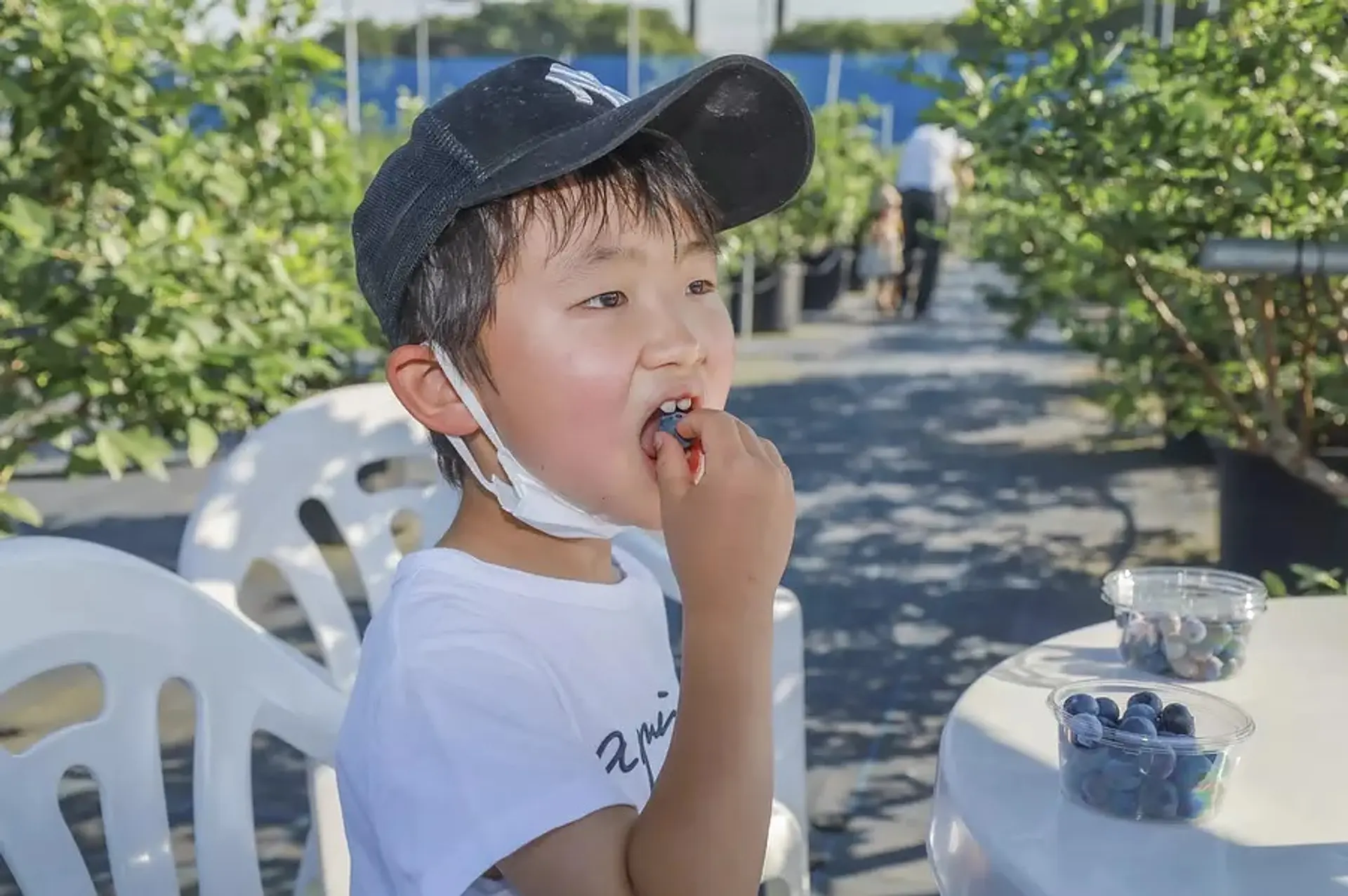 三重県のブルーベリー狩りスポット