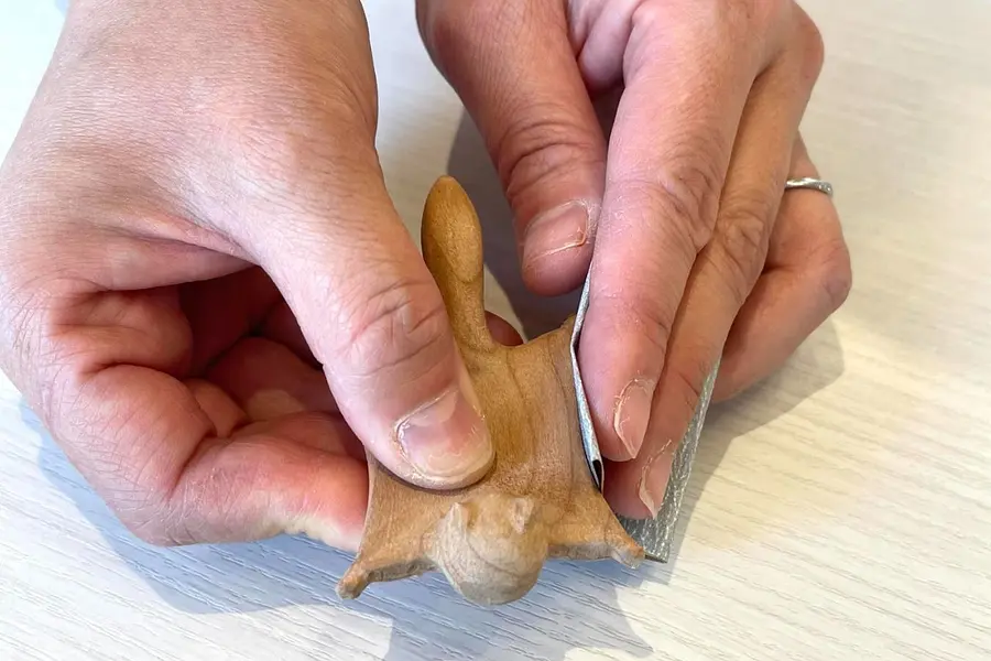 森のぬくもりを手のひらに「ころんとかわいいムササビ」