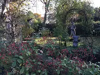 escaramujos en el jardín de chelsea