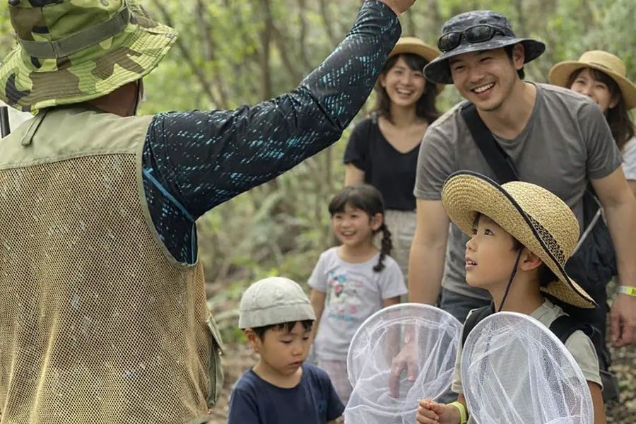 夏だ！ワクワク虫取りアドベンチャー