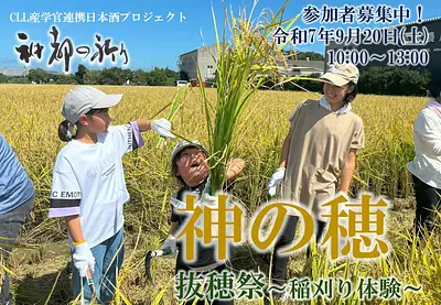 酒米「神の穂」の稲刈り体験！