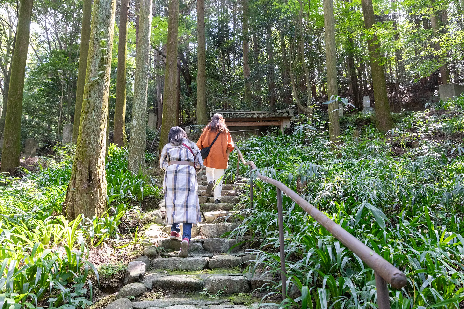 八重姫の墓までの階段