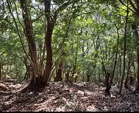 尾鷲よいとこ見つけ旅2025　トレッキングツアー　10月から毎月開催！