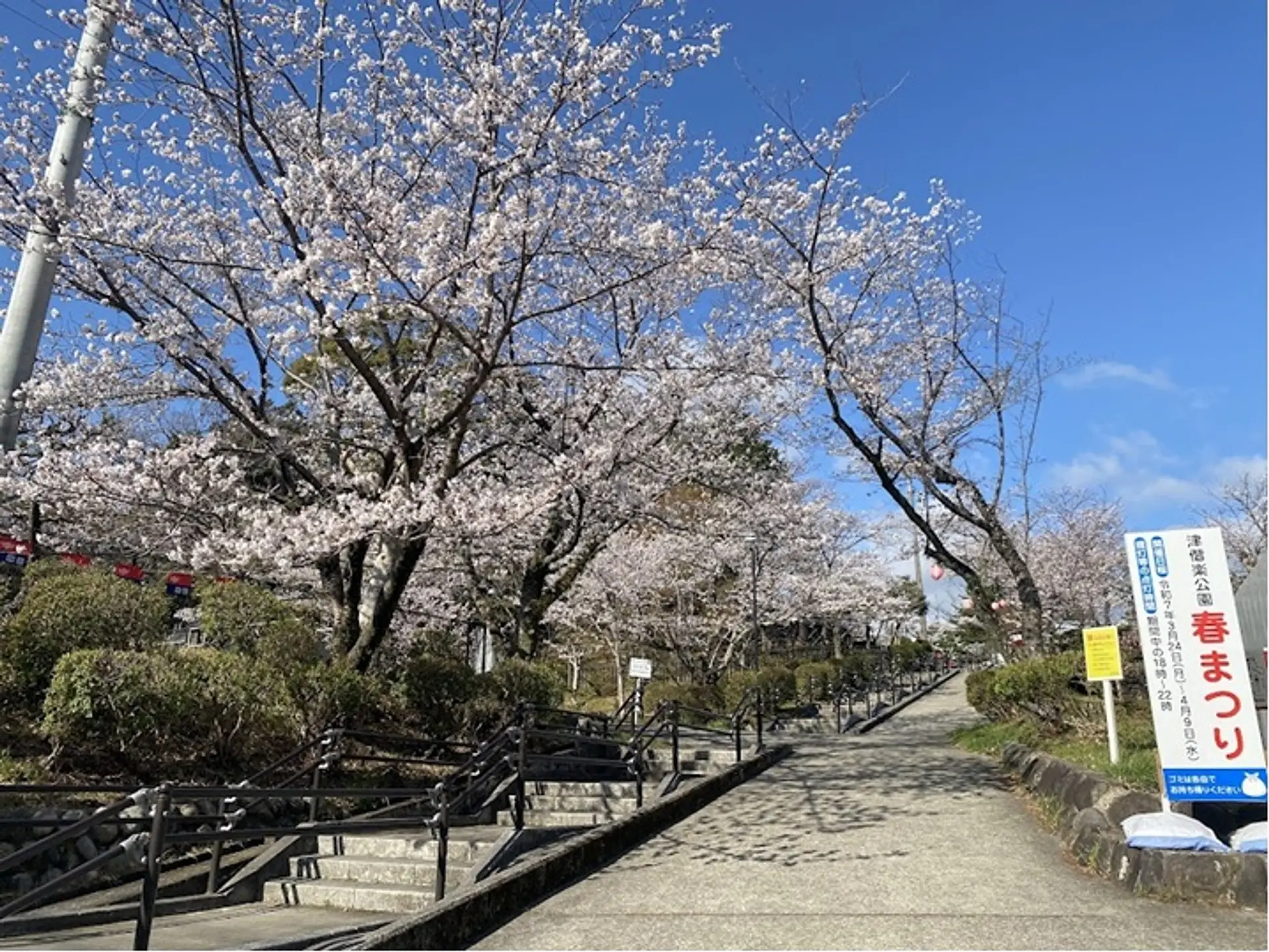 津偕楽公園 春まつり