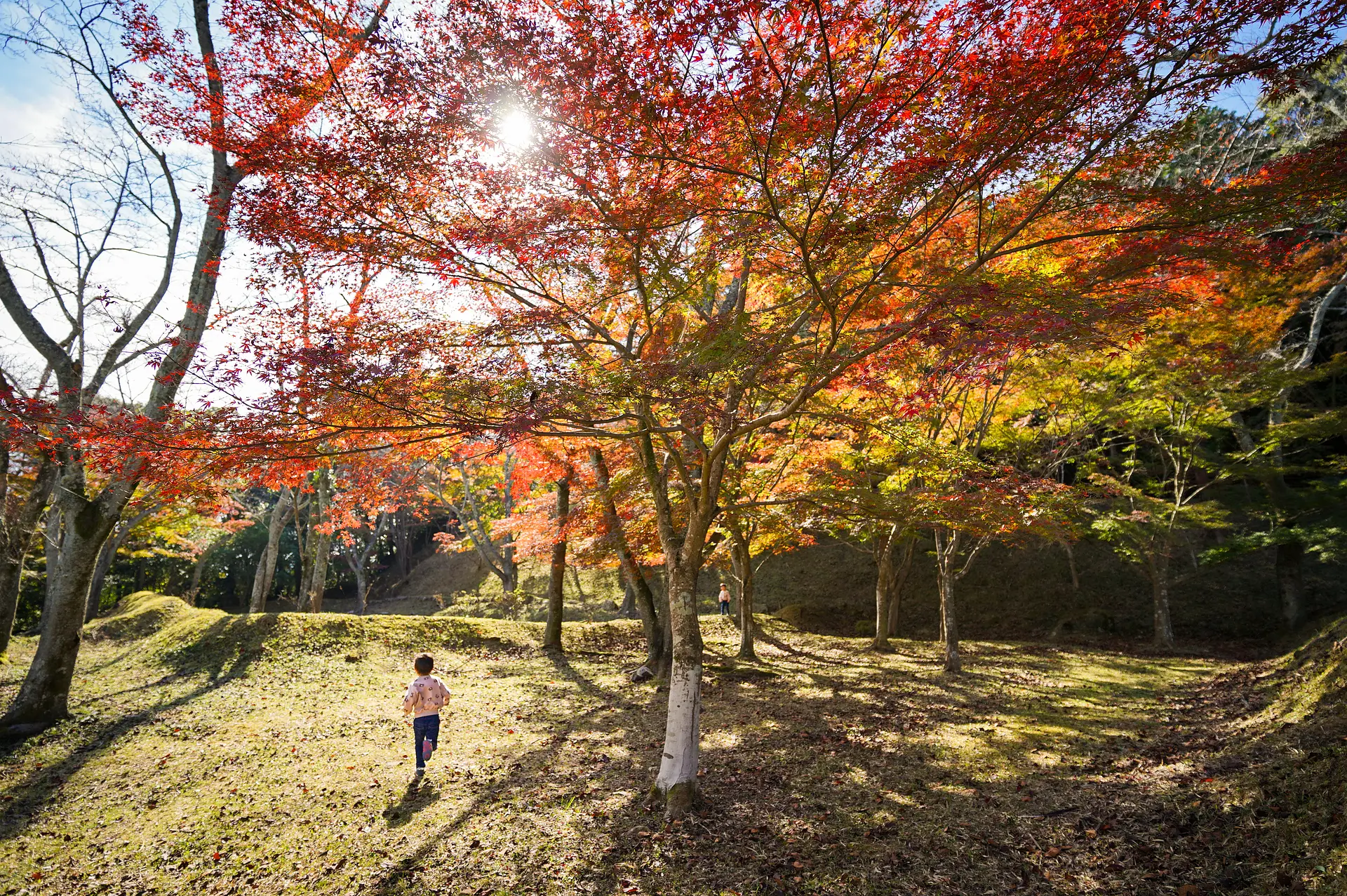 正法寺山荘跡