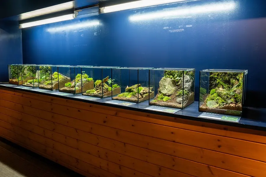 Aquarium des chutes d&#39;Akame