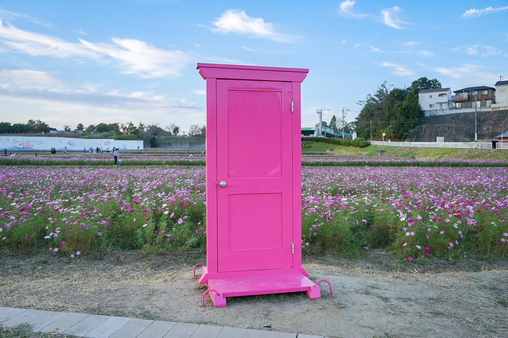 とことめの里　コスモス畑