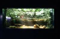 Aquarium des chutes d&#39;Akame