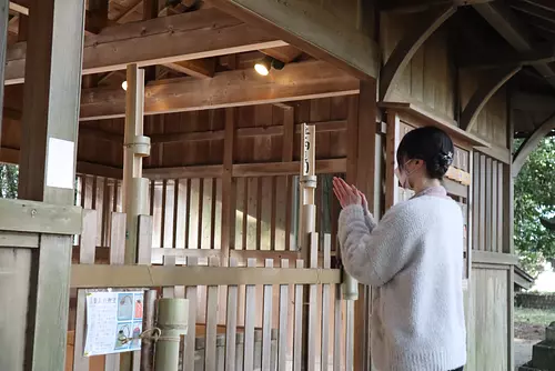 追溯2個竹神社和齋王的歷史的神社參拜之旅 (附帶特別禦朱印&茶泡飯·甜點)