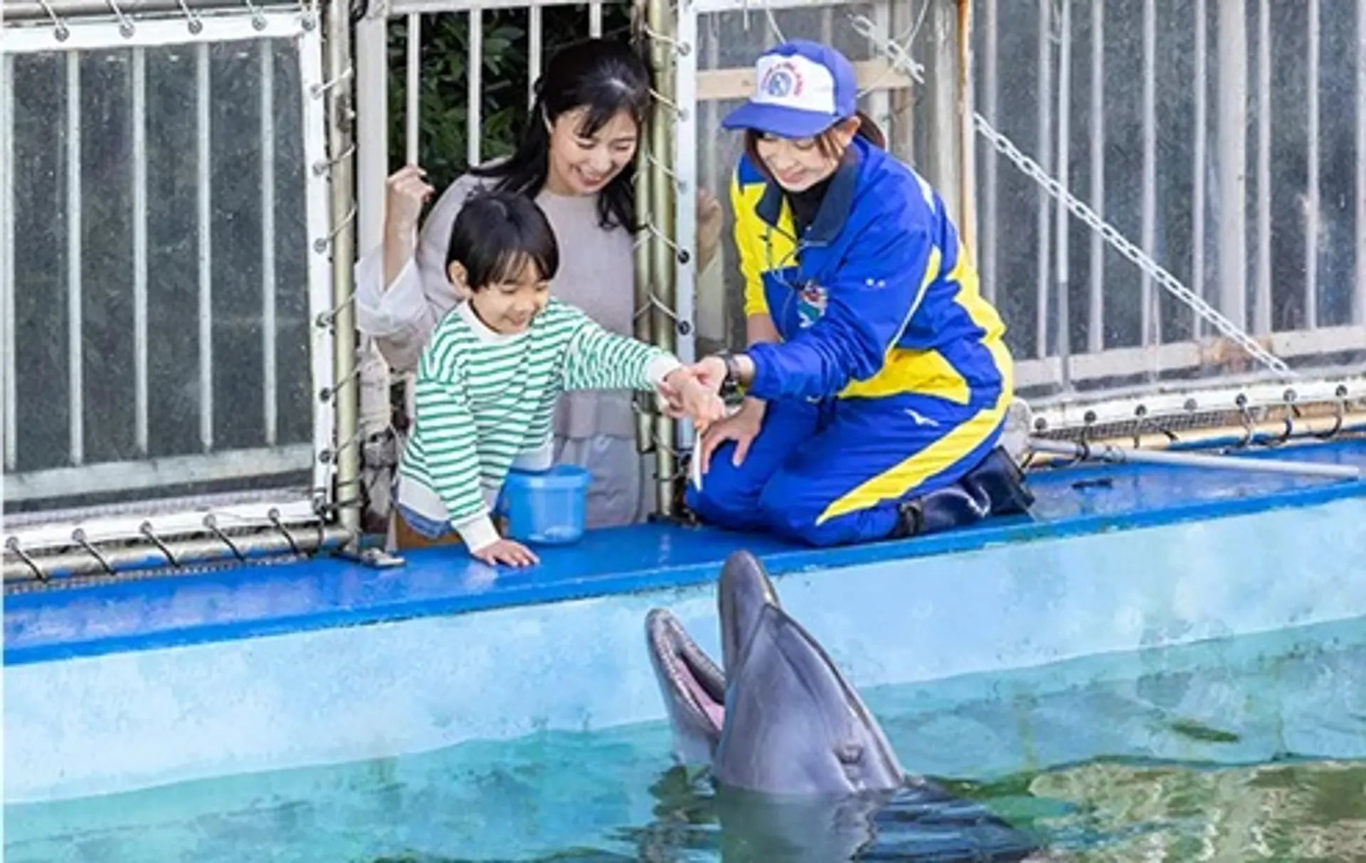 鳥羽湾めぐりとイルカ島