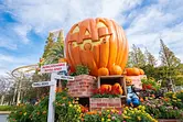 « Nagashima Zombie Island 2023 » Le plus grand Halloween de la région de Tokai