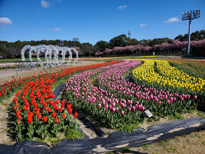 Festival de tulipanes de Nabana Nabananosato