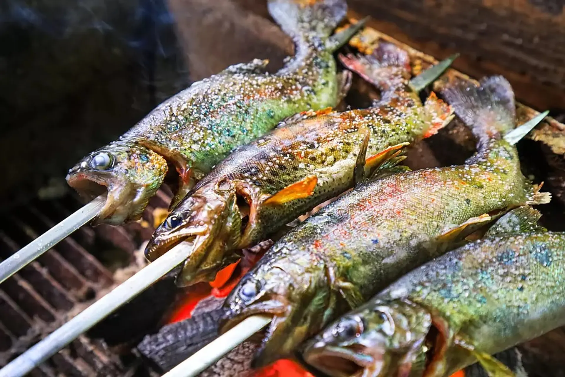 三重県の釣り堀