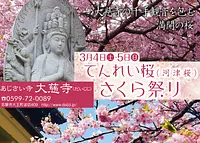 Festival de Sakura del templo Daijiji