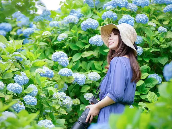 chiiの画像