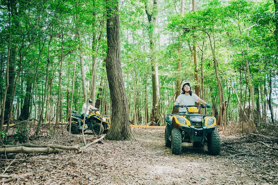 ターザンスィング