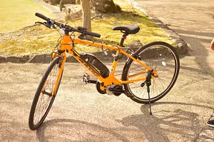 Rental bicycle (electrically assisted bicycle)